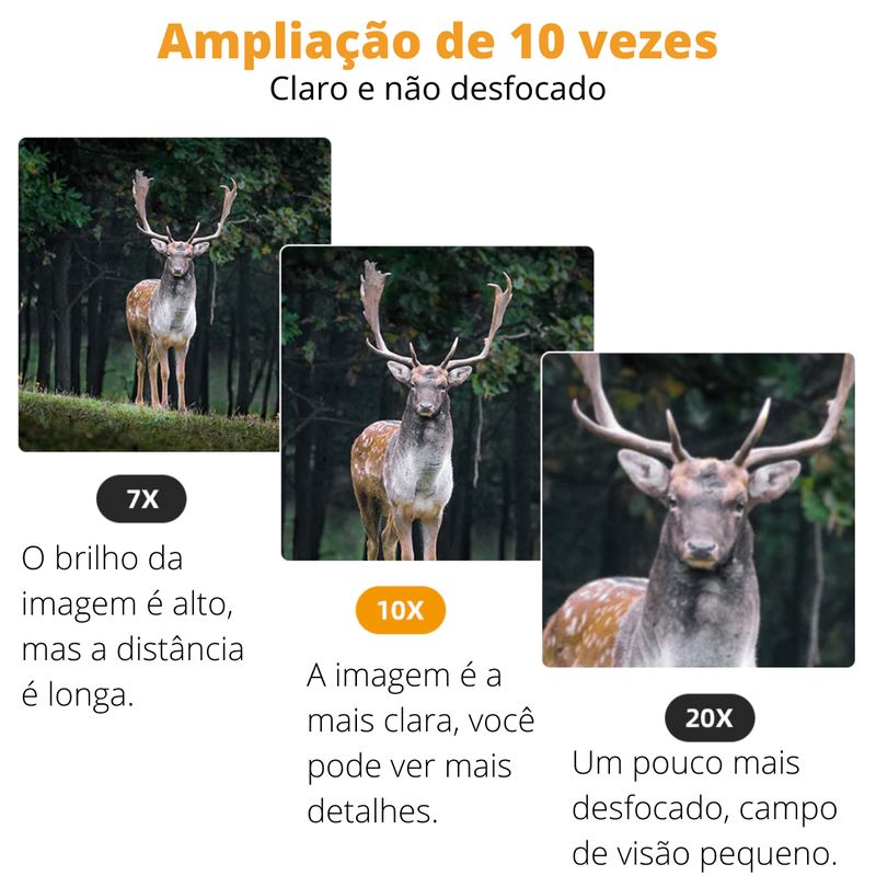 Binóculos Profissional HD 100x22 | 30.000M & Visão Noturna FNT092