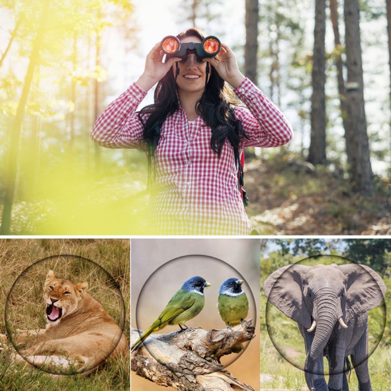 Binóculos Profissional HD 80x80 | Longo alcance & Visão Noturna FNT1560